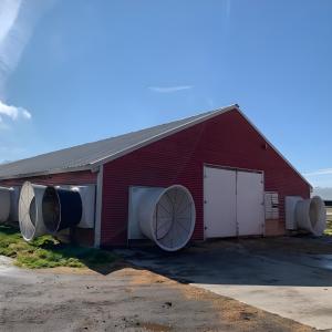 Modern Steel Chicken Farm Building , Light Steel Structure Poultry House