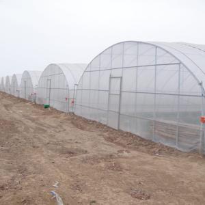 Mini Greenhouses UV Resistant Agricultural Durable Plastic Film and Sides