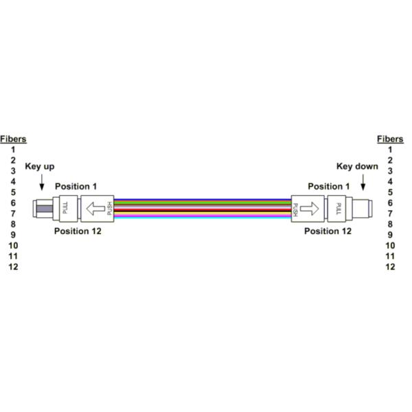 12 Fiber MPO Female Connector Patch Cord OM4 50/125um Elite Loss 0.35dB Purple Polarity A