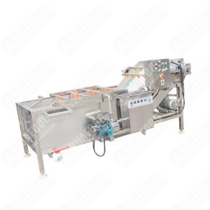 Hot Selling Semi Automatic Industrial Ultrasonic Vegetable And Fruit Washing