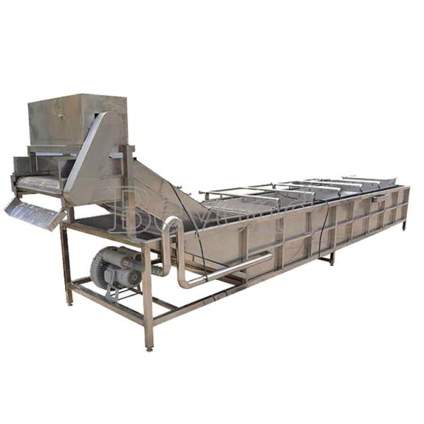 SUS304 10TPH Fruit Vegetable Washing Machine Stepless Shift
