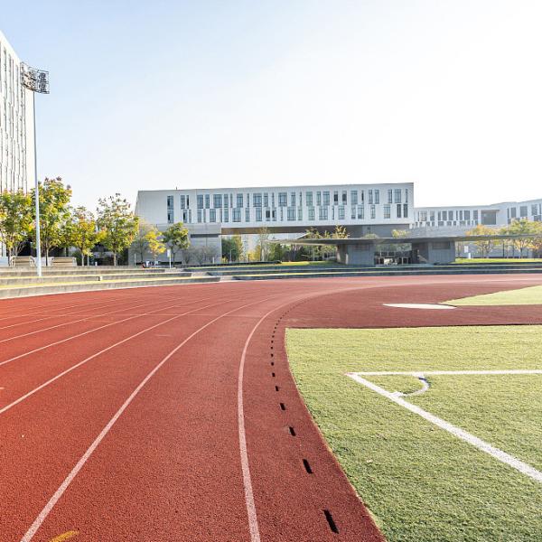 Buy ISO18001 13mm Sandwich System Tartan Stadium Running Track at wholesale prices