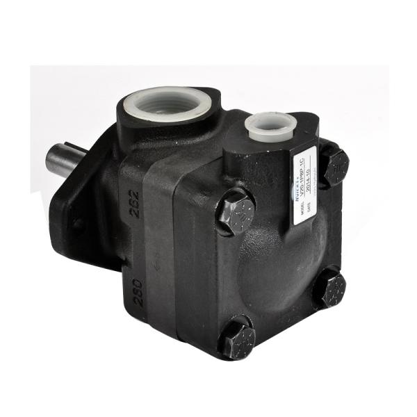V20-1P13P-1C-11 02-125801-3H21SHSW Vane Pump for Micro Power Steering by Vickers
