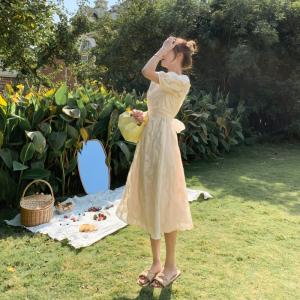 Back Tie Bow Waist Puff Sleeve A Line Dress