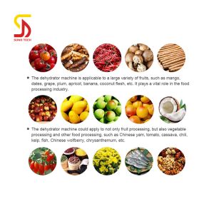 Fish Drying Oven Beef Drying Oven Fruit Drying Oven Herb Drying Oven for Seafood