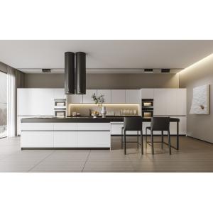 Modern Modular Kitchen Cabinet Southeast Asian Style Custom Design