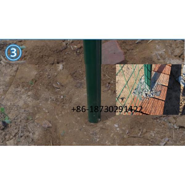 China ready stock 60x60 mm euro fence mesh Pvc coating made in china