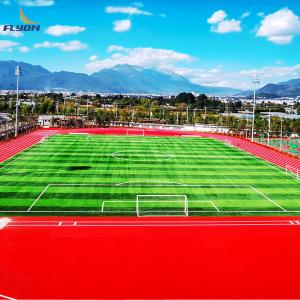 IAAF Approved High Elastic Full PU Running Track For Optimal Sports Performance