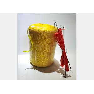 10m PP Tomato Trellis Twine With 10PCS J Hooks