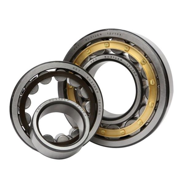 Buy RN205M RN206M Steel / Brass Cage Eccentric Roller Contact Bearing at wholesale prices