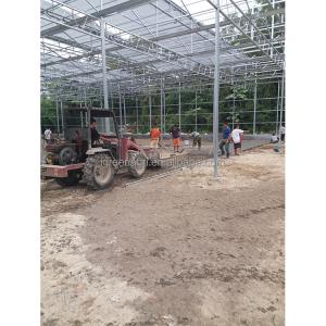 IGreen Polycarbonate Greenhouse Panels for Flowers and Vegetables Customized