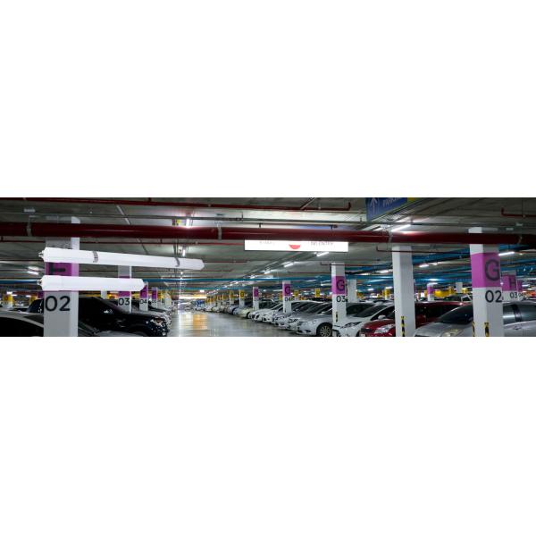 18W 36W 56W IP66 5years Warranty LED Tri-proof Light With CCT adjustbale For Display Racks Warehouse