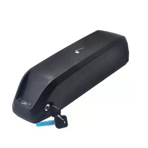 China manufacture Hot selling Electric bicycle lithium battery