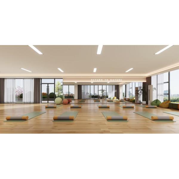 Yoge Room Ceiling Tile 2/2/0.5mm Microperforated Acoustic Panels Soundproofing