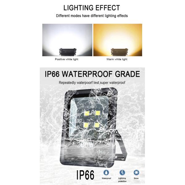 Bridgelux AC110-277V Daylight LED Flood Lights CRI75 For Theme Park