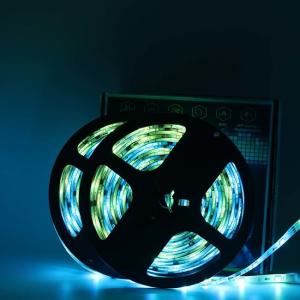 30LEDs/m DC12V SMD5050 4.8W/M Color Changing LED Strips