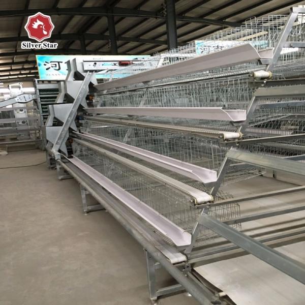 Buy 108-144Birds Poultry Cage 3-4Layers Broiler Raising Equipment at wholesale prices