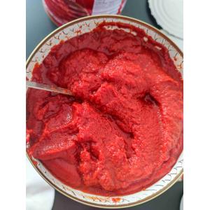 Style Canned Tomato Paste from with Fruit Addtives