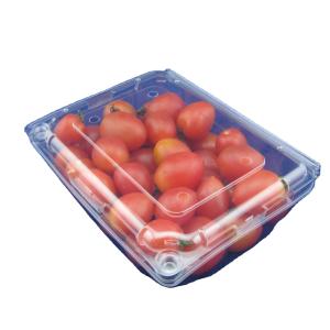 PET Recyclable Clamshell Packaging Box Plastic ISO9001