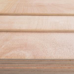 White faced plywood 16mm melamine laminated plywood