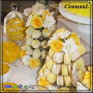 New Design 10 Tier Macaron Tower Disposable Food Tray