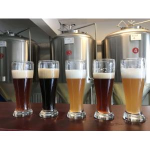 SS304 300L 1000L Beer Alcohol Micro Brewing Machine