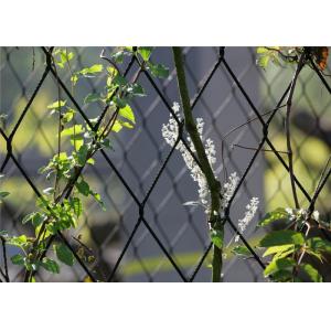 7*19 Structure Black Stainless Steel Wire Rope Net For Plant