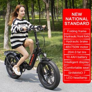 40Km/H Lithium Battery Magnesium Alloy Variable Speed Electric Bicycle