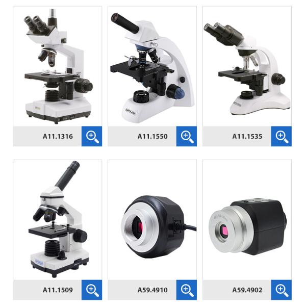 Teaching OPTO-EDU A11.1531 40X Compound Light Microscope