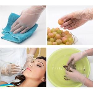 China Housekeeping Disposable Vinyl Gloves Large Vinyl Kitchen Gloves DIDP Free on sale