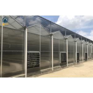 Quality Heavy Duty Smart Cultivation Polycarbonate Greenhouse Automated Hydroponic Greenhouse for sale