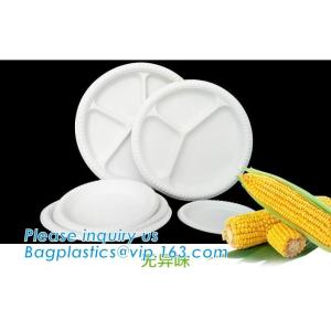 Biodegradable Disposable Sugarcane Bagasse Party Plate,Eco-friendly sugarcane