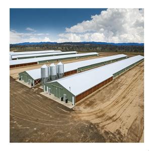 Economical Light Steel House Construction Customized Steel Structure Shed