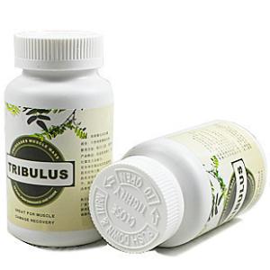 Natural Tribulus Terrestris Extract Powder 70% Saponins- Tribulus terrestris L.
