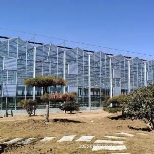 China High - Tech Venlo Glass Greenhouse for Strawberry Hydroponics on sale