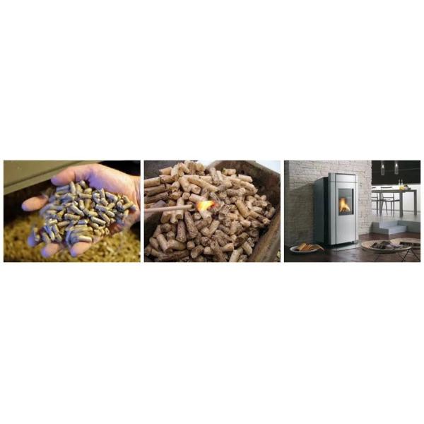 poultry feed pellet machine