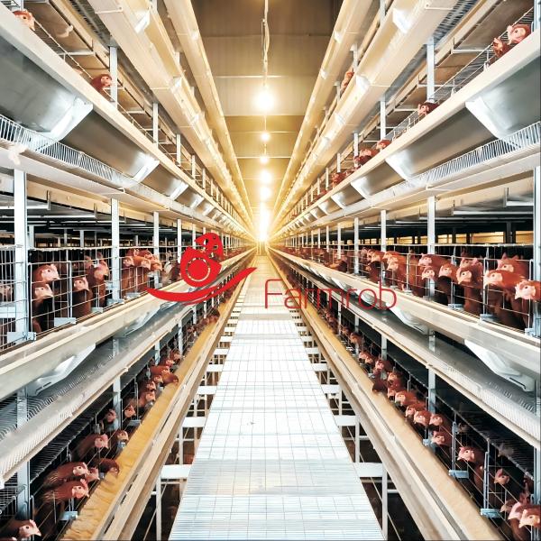 1800*650*450mm Sliding Door Layer Chicken Cage System The Perfect Solution for