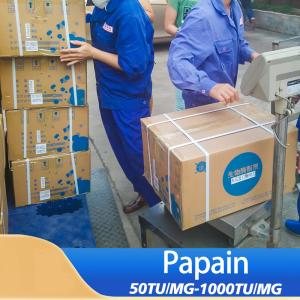 Medicine Papain Powder 300USP-6000USP Customized Papain Enzyme
