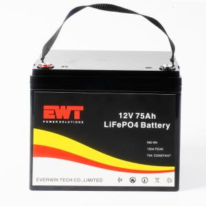 Boat Lithium Iron Phosphate Battery Pack 12V 100Ah for Rechargeable Plug-in