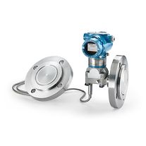 Rosemount™ 3051L Level Transmitter with Dual Seals