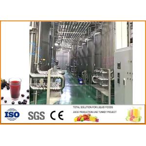 Blackcurrant Fruit Vinegar Fermentation Equipment With PLC Control System