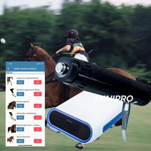 Ligament Injuries ESWT Equine Shockwave Machine 190mJ Max