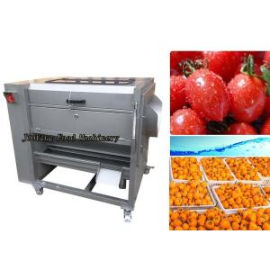 Commercial Fruit Taro Carrot Onion Vegetable Washing And Peeling Machine