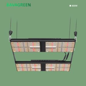 Indoor 1248Umol/S 4x4 SAMSUNG LM301H Grow Light V4 For Vegetables