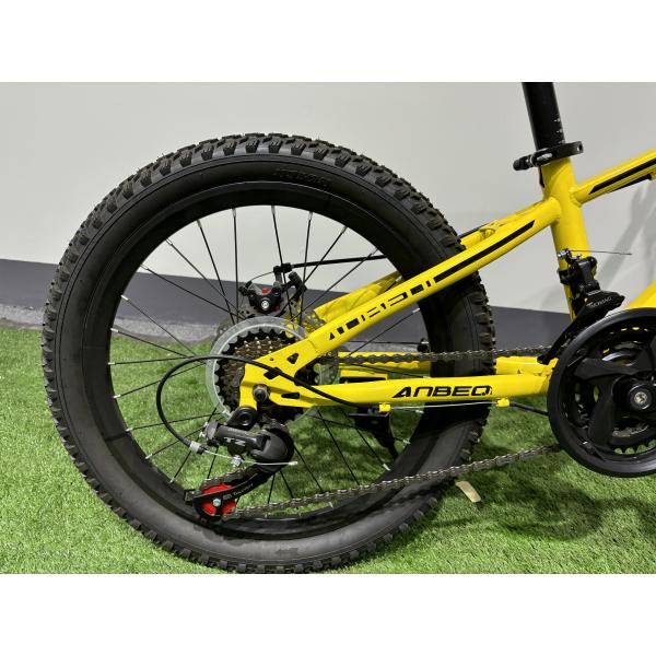 Customized MTB Mountain Bikes With 6 Speed 21 Gears / Shimano Derailleurs