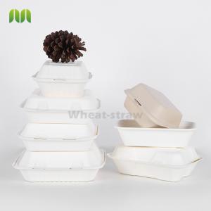 Reduce plastic Biodegradable Disposable Eco future food containers tabelware