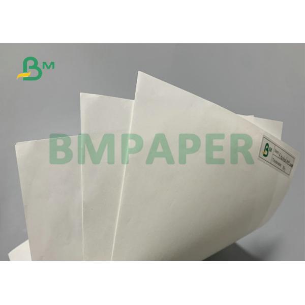 Ice - Cream Cone Paper 80g 90g 100g Food Grade Paper 1000mm Width Ice - Cream Cone Paper 80g 90g 100g Food Grade Paper 1000mm Width