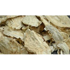 100% Natural white Puerariae Powder from Thailand