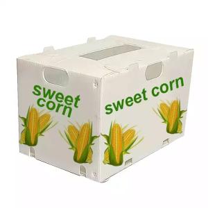 Asparagus Okra Fruit And Vegetable Packaging Boxes Coreflute