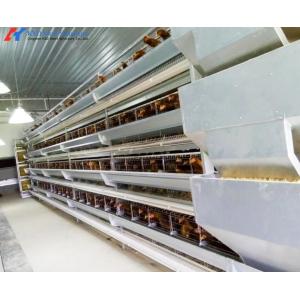 Easy Operate Automatic Poultry Farm Equipment A Type Laying Hen Cages